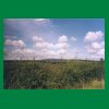 025_Tag2_Landscape.jpg
