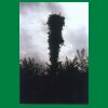 036_Tag2_Ballyroan_Telefonmast.jpg