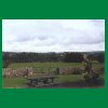 048_Tag2_Ballyroan_Koppel.jpg